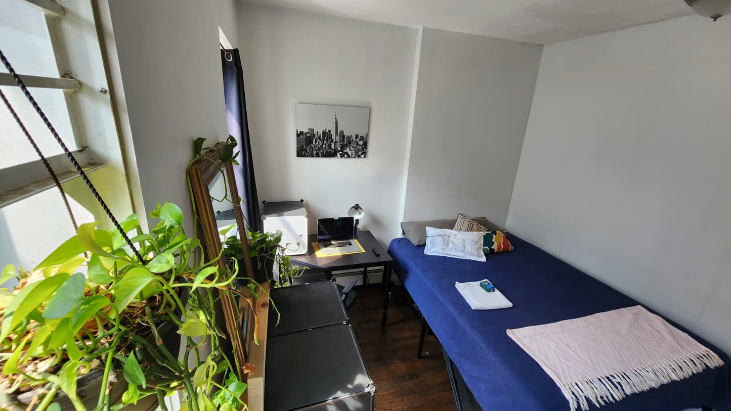 Large furnished room in the heart of Brooklyn. Access to several train lines.